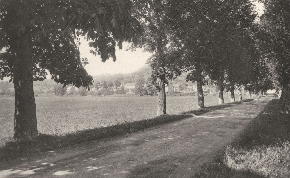 MOSELLE. Abreschviller- La route ombragée 1937 old vintage print picture